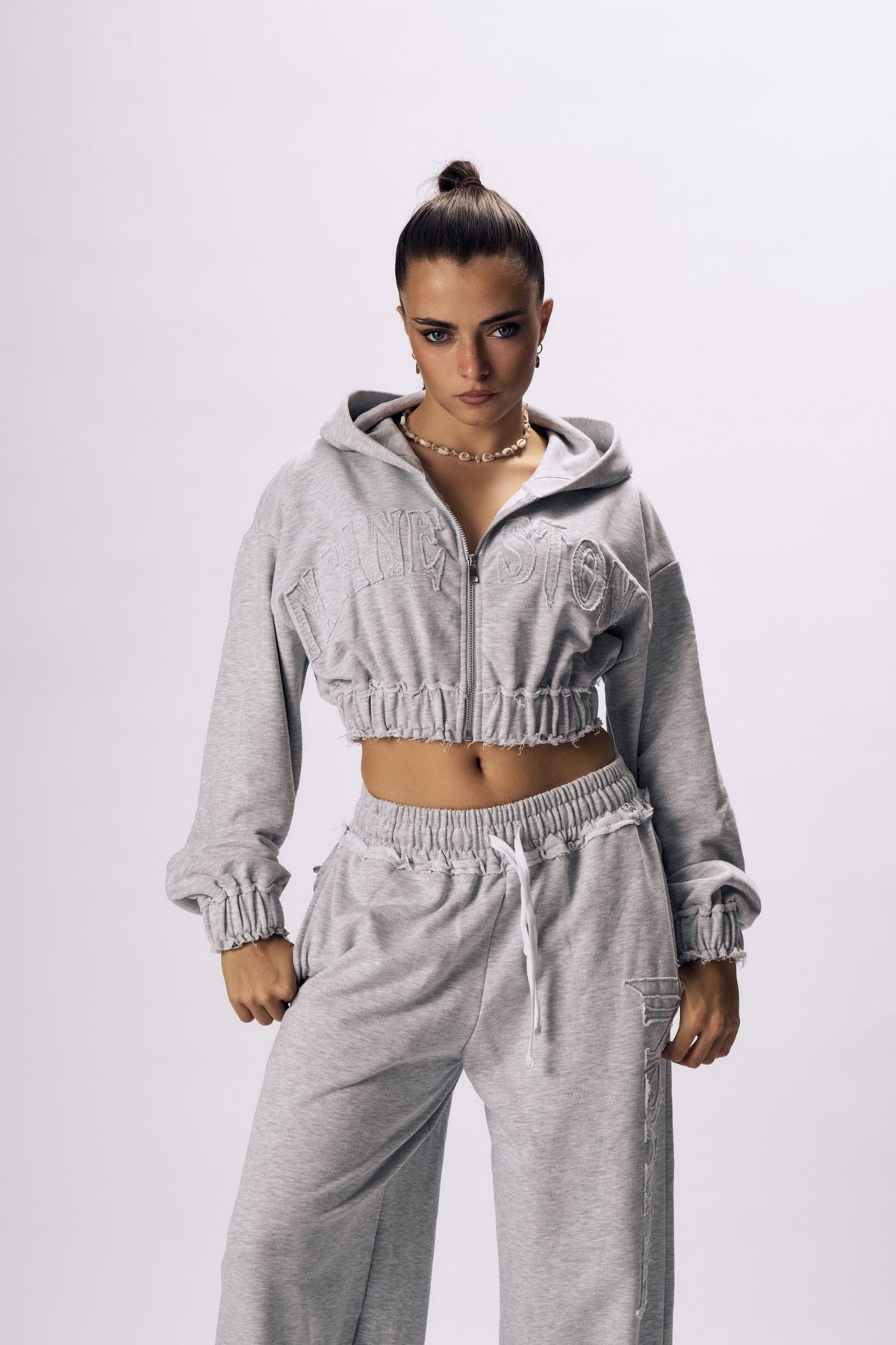 ASH Zip Hoodie - Insane Stone ®