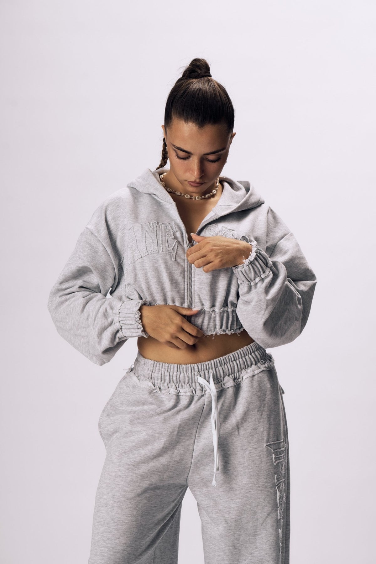 ASH Zip Hoodie - Insane Stone ®