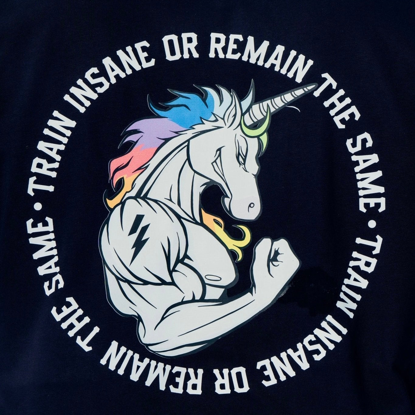 Oversize T-Shirt Unicorn Coll.