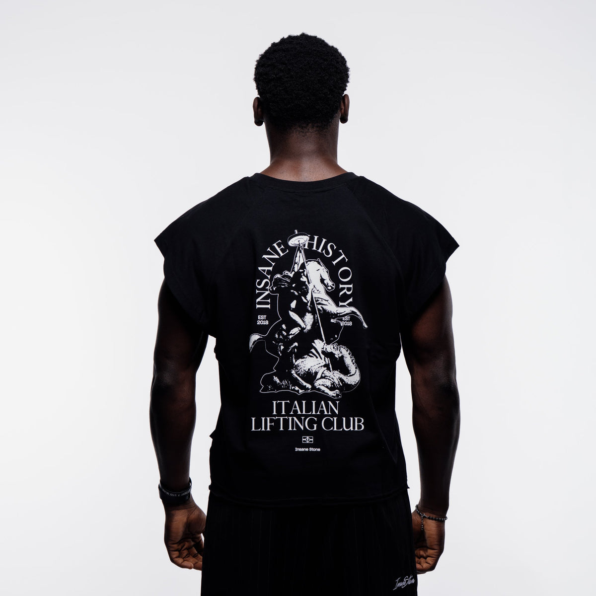 Tank - St. George Dragon - Insane Stone ®