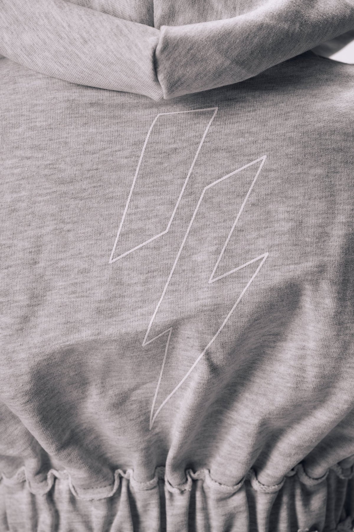 ASH Zip Hoodie - Insane Stone ®