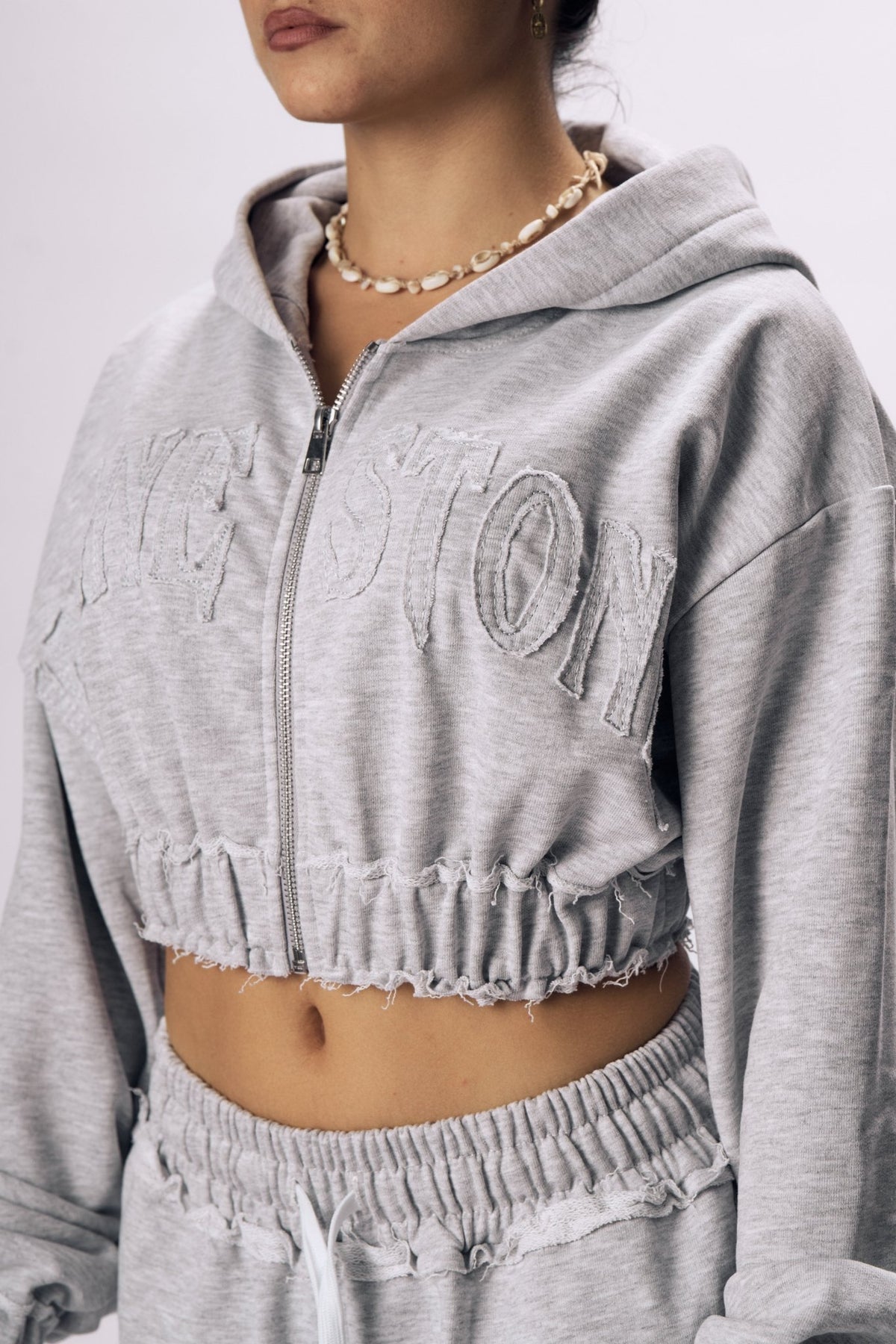ASH Zip Hoodie - Insane Stone ®