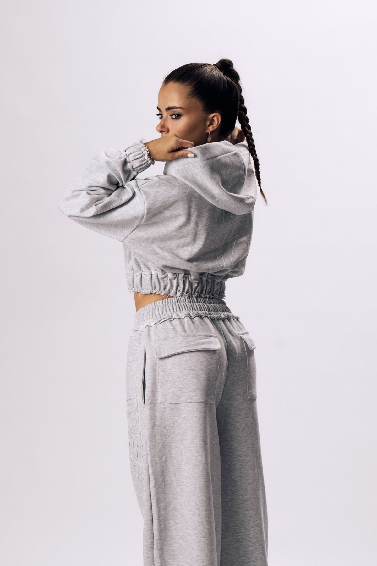 ASH Zip Hoodie - Insane Stone ®