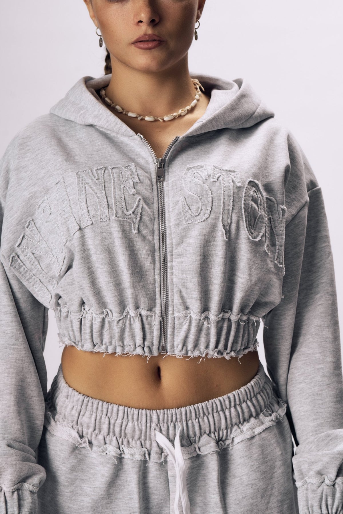 ASH Zip Hoodie - Insane Stone ®
