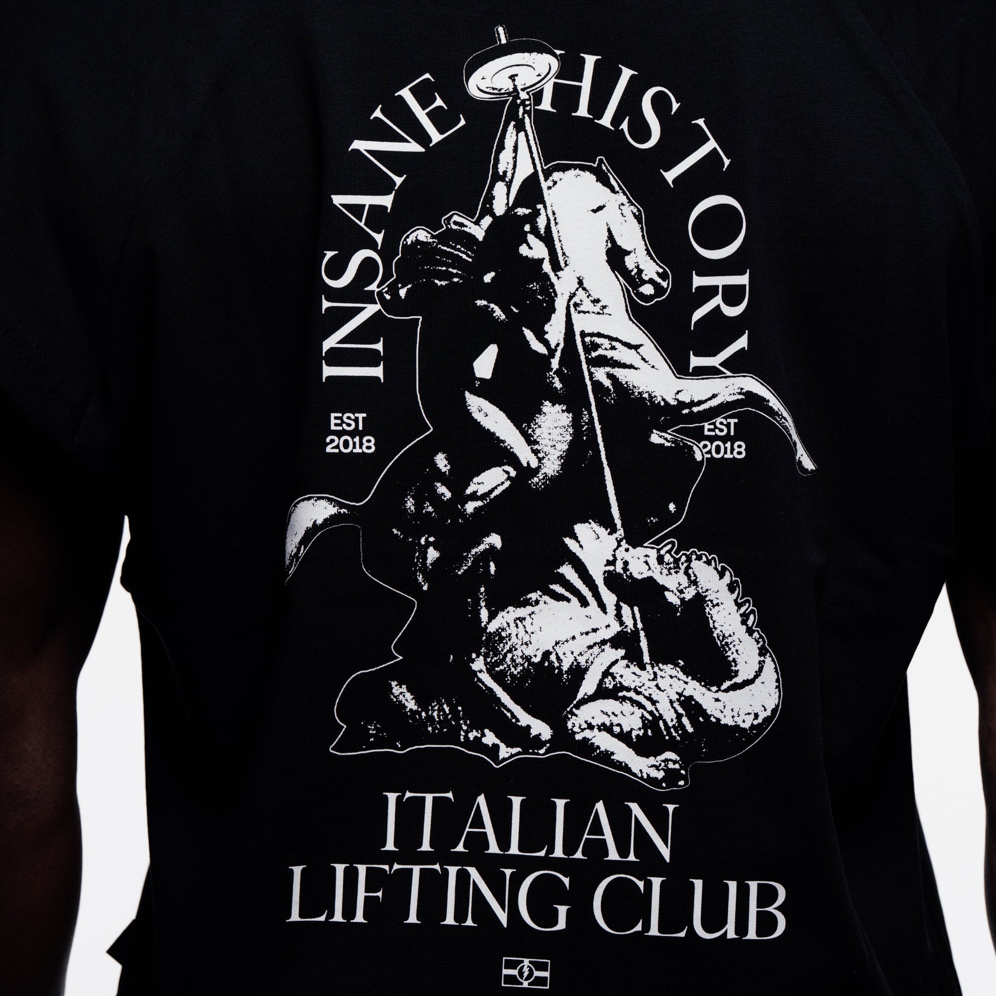Tank - St. George Dragon - Insane Stone ®
