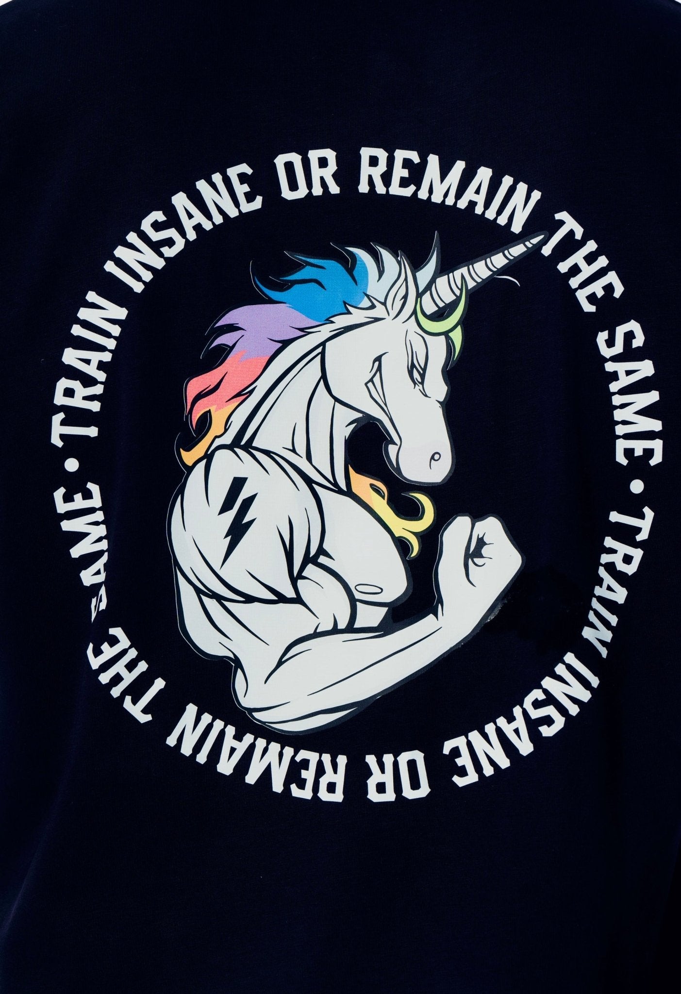 Oversize T-Shirt Unicorn Coll.